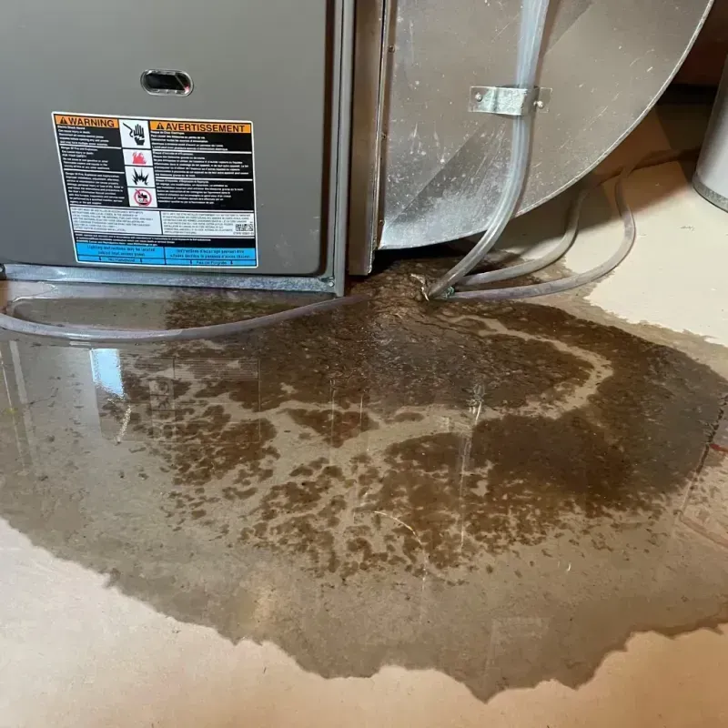 Appliance Leak Cleanup in East La Mirada, CA